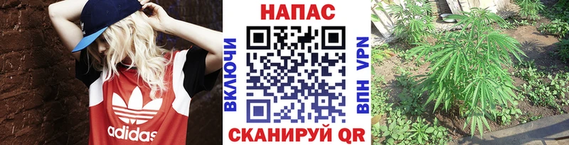 Наркошоп купить Кокаин  Галлюциногенные грибы  Амфетамин  Гашиш  МЕФ  Качканар