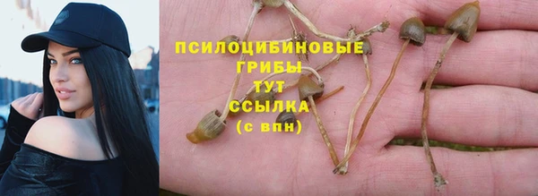 MESCALINE Осинники