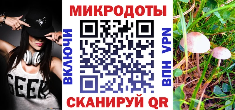 Галлюциногенные грибы Psilocybine cubensis  Купить  Качканар 