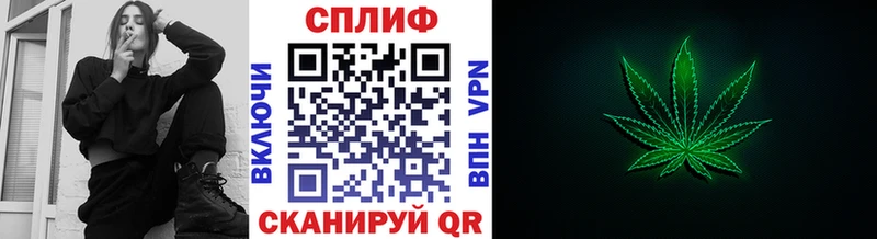 Купить закладки  Качканар  Бошки марихуана сатива 